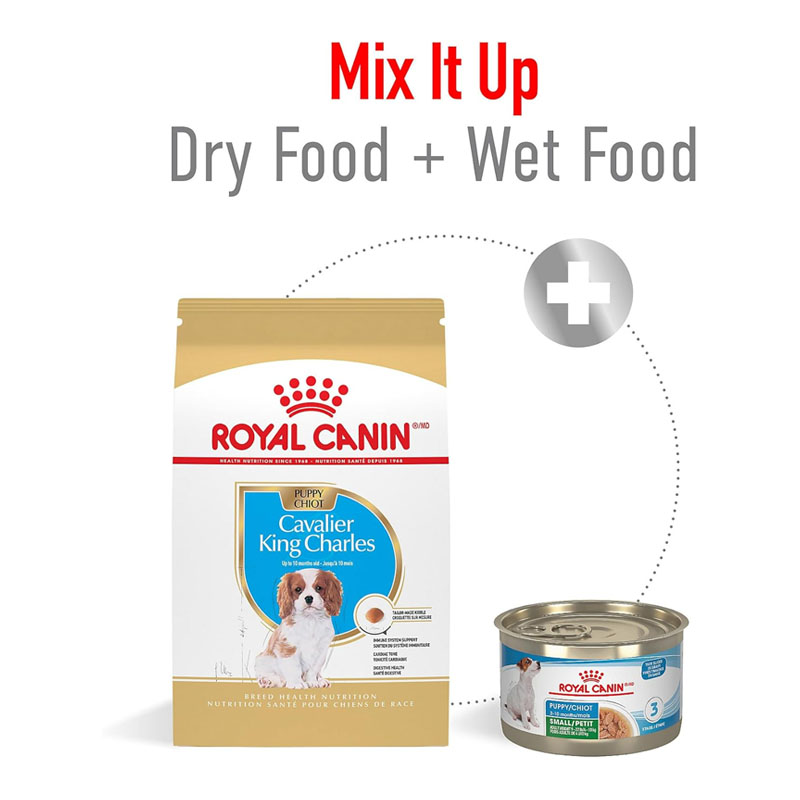 Royal Canin Cav
