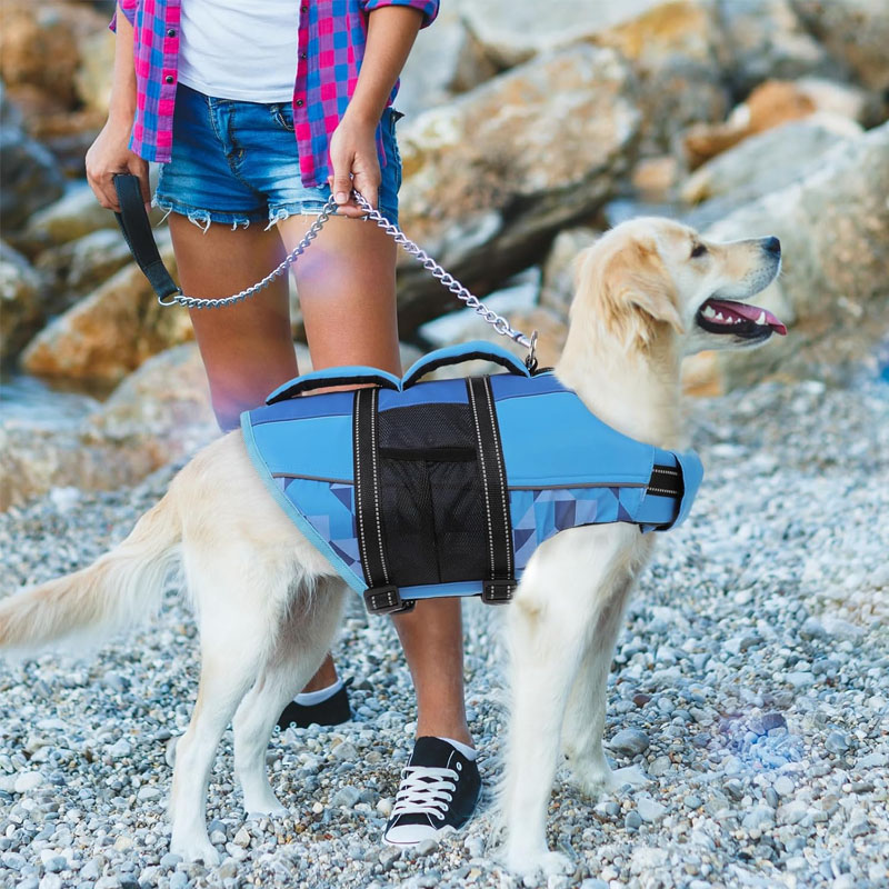 ASENKU Dog Life