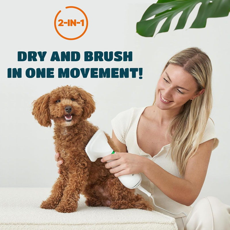 2-in-1 Dog Hair