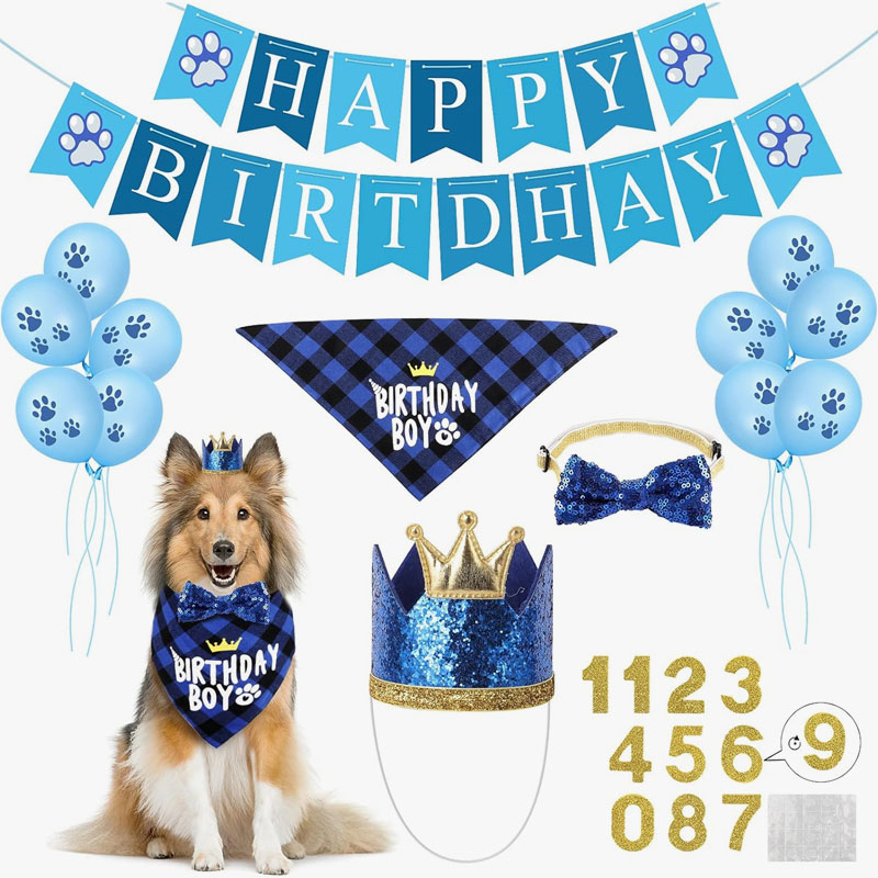 Dog Birthday Pa