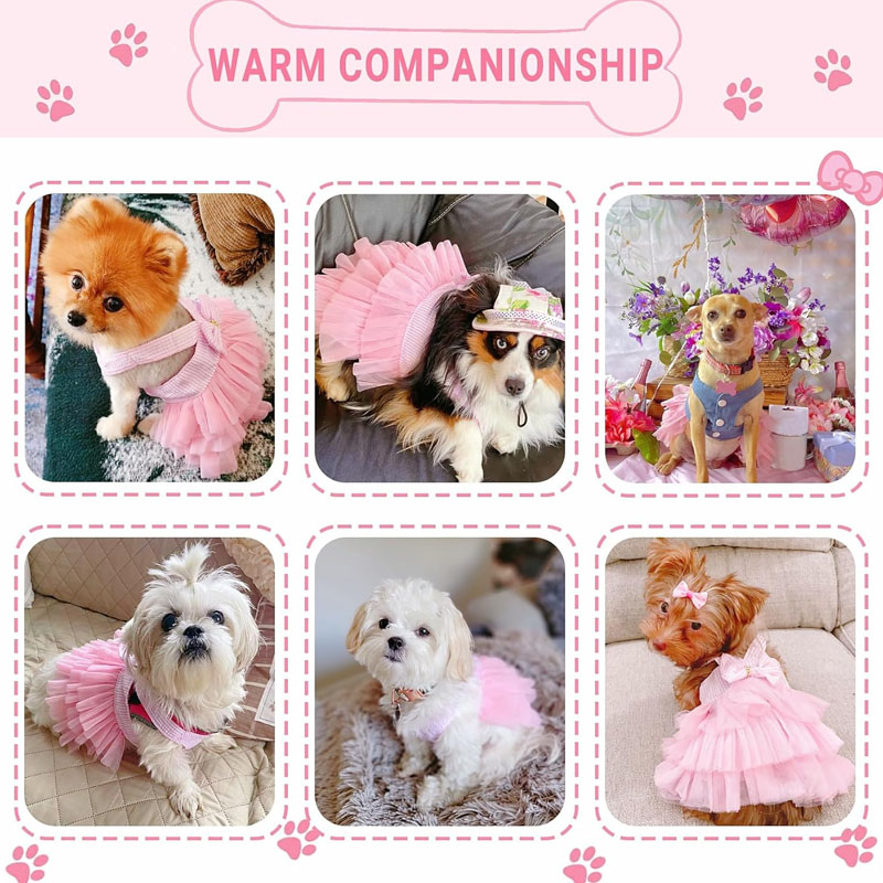 Dog Dresses, Fa