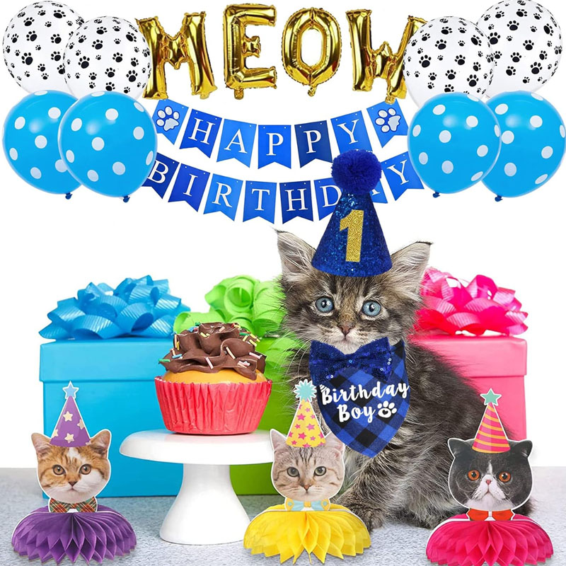 JOTFA Cat Birth
