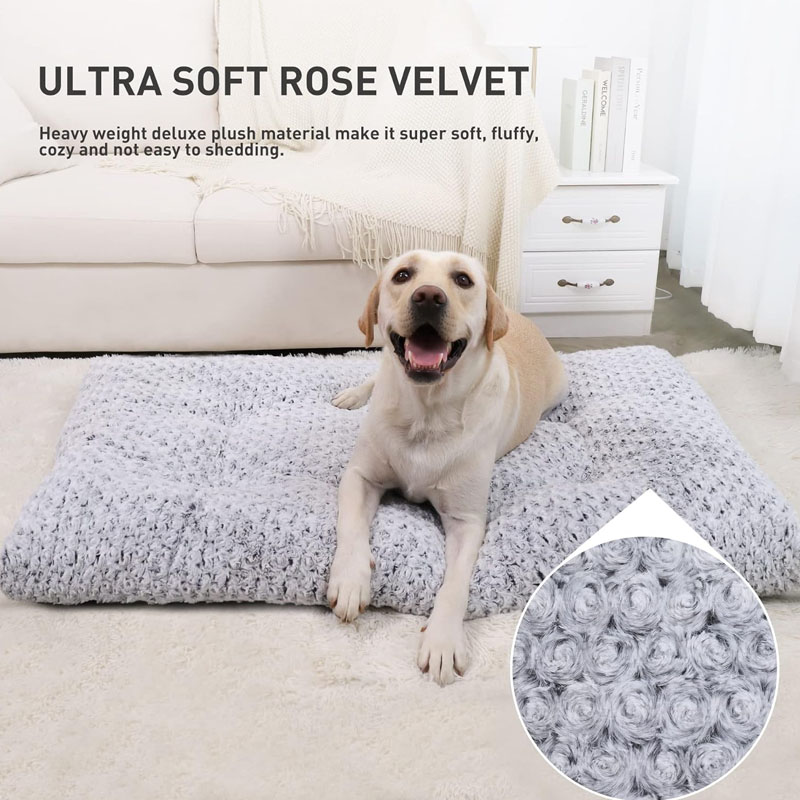 KSIIA Washable 