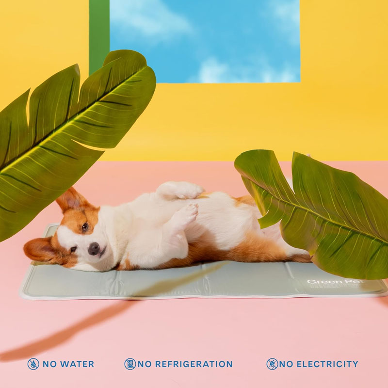 The Green Pet S