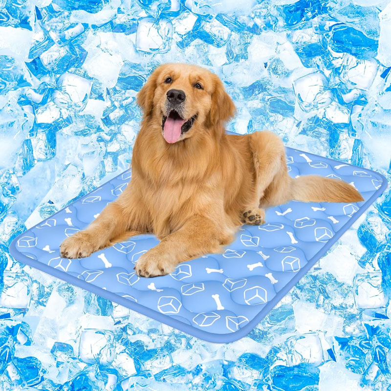 Rywell Dog Cool