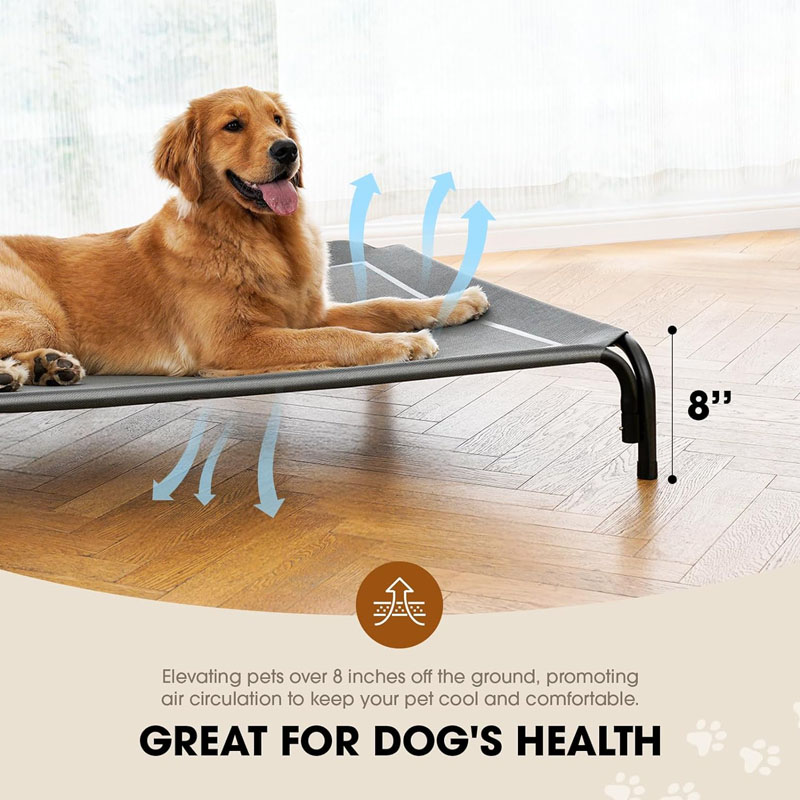 Elevated Dog Be