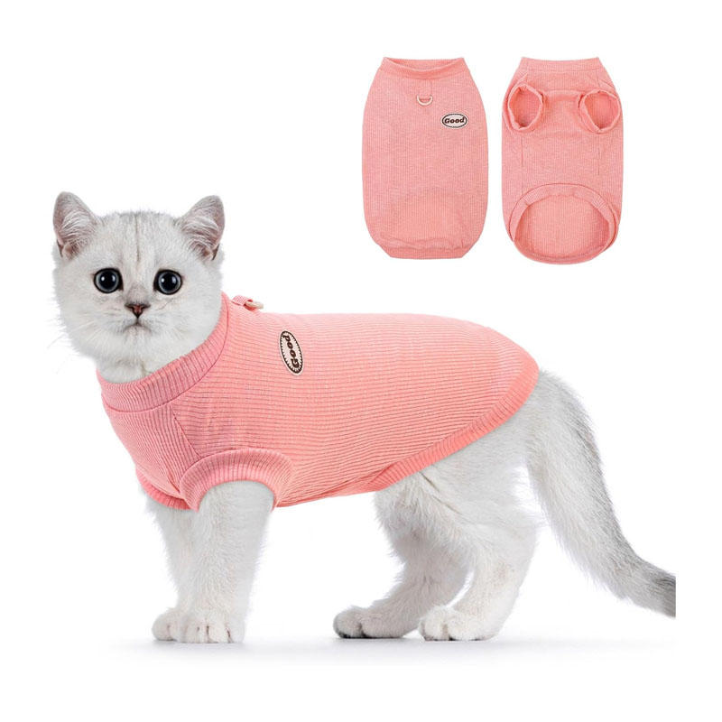 Preferhouse Cat