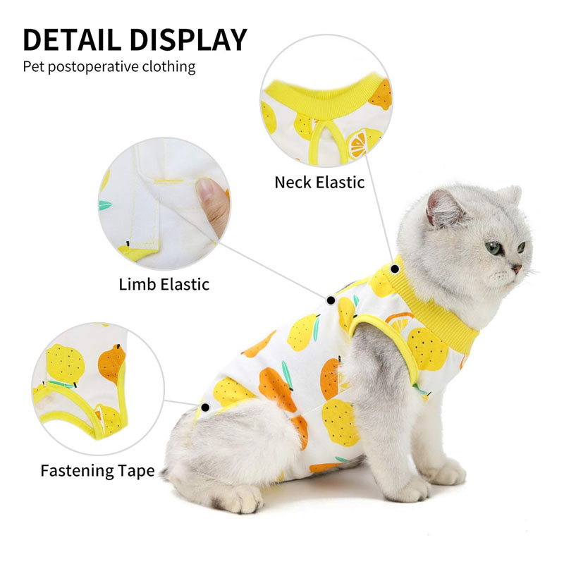 Cat Professiona