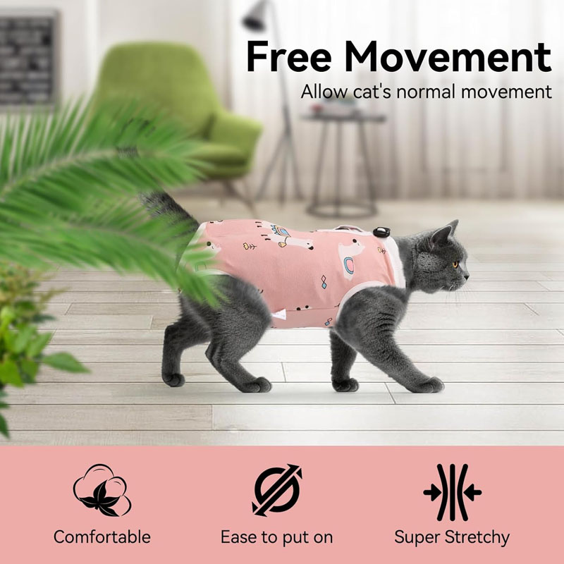 Cat Recovery Su