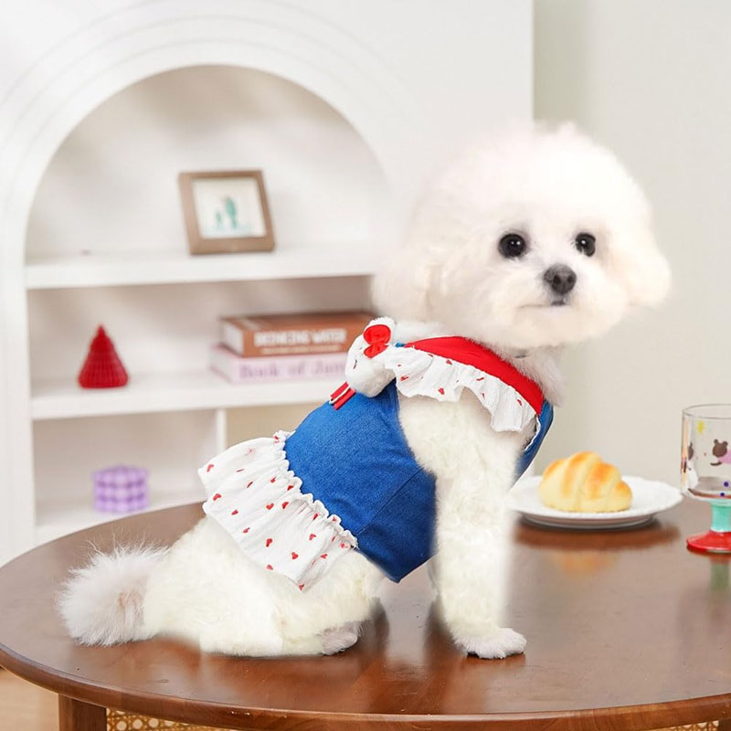 Small Dog Harne