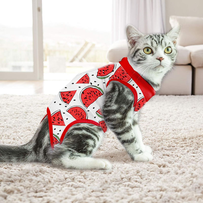 Cat Professiona