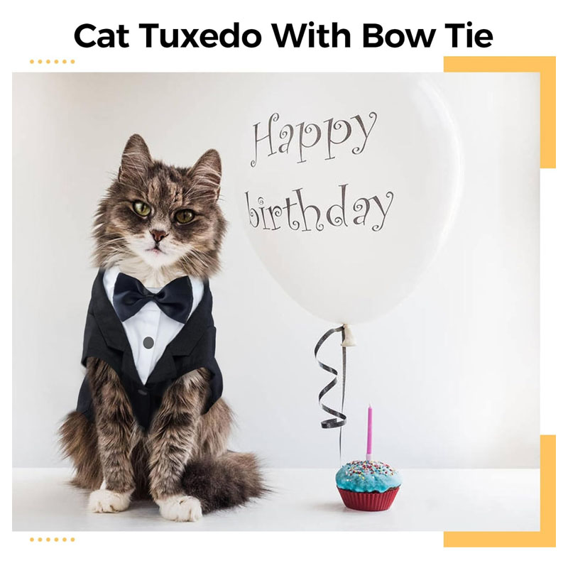 DENTRUN Cat Tux