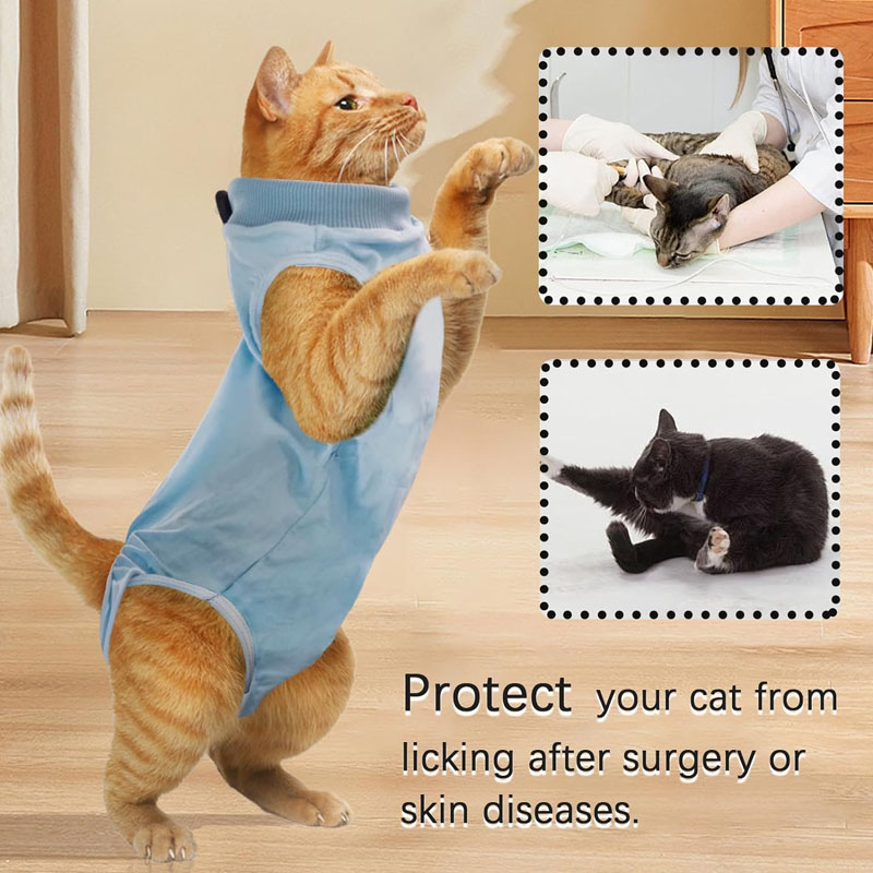 YOLCAR Cat Surg