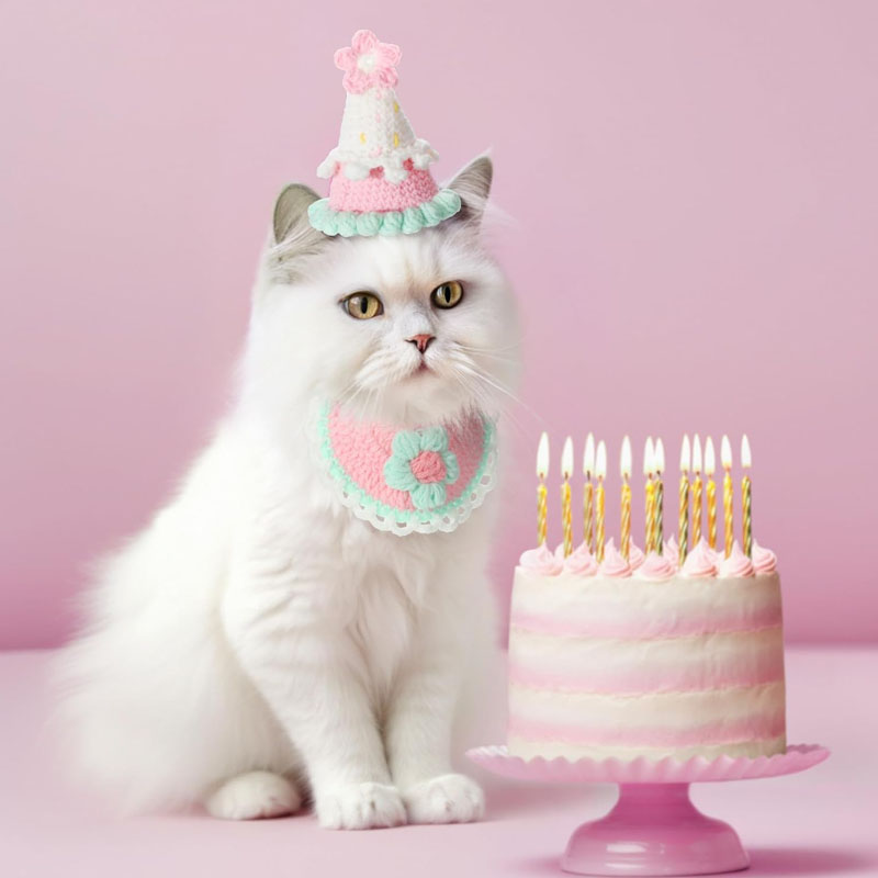 Knit Cat Hat Ki
