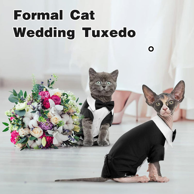 DENTRUN Tuxedo 