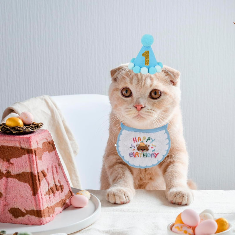 PTDECOR Cat Bir