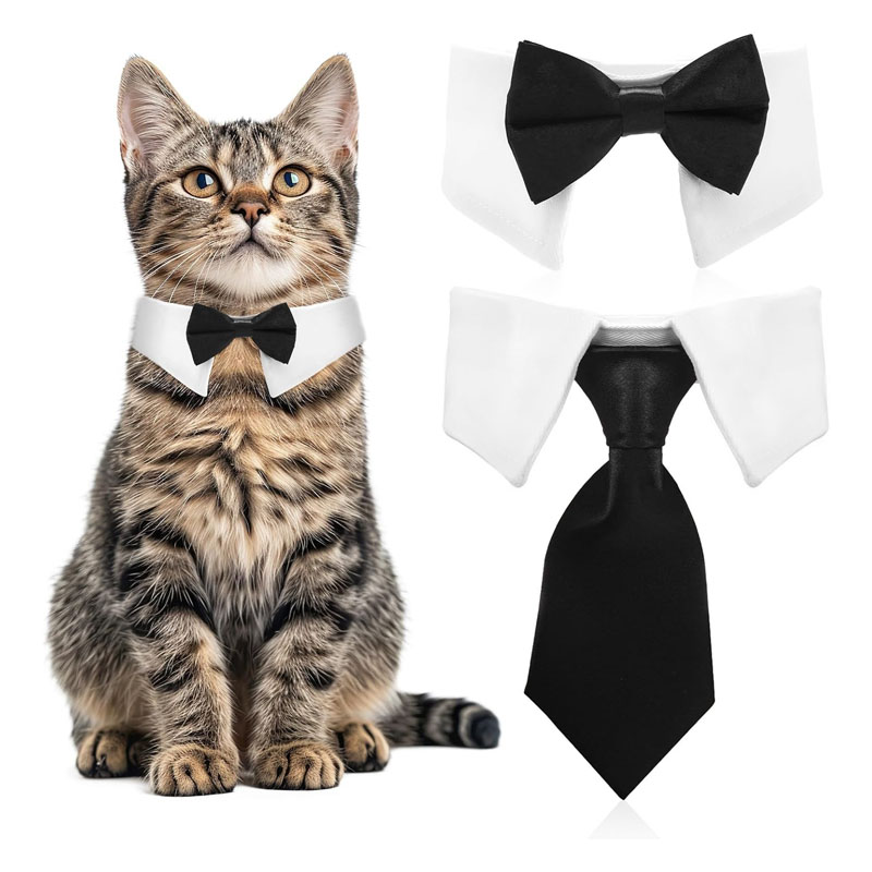 2 Pcs Cat Bow T