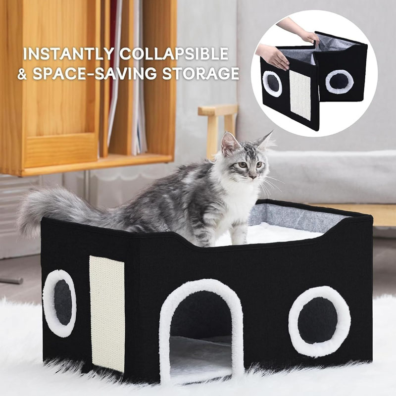 Gosipeya Cat Ho