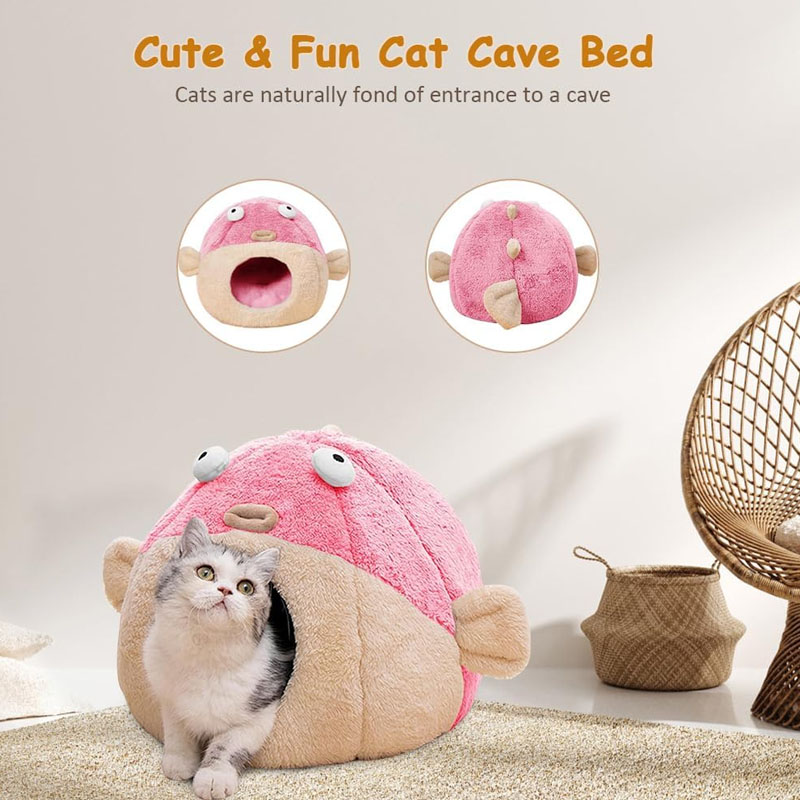 Cat Beds for In