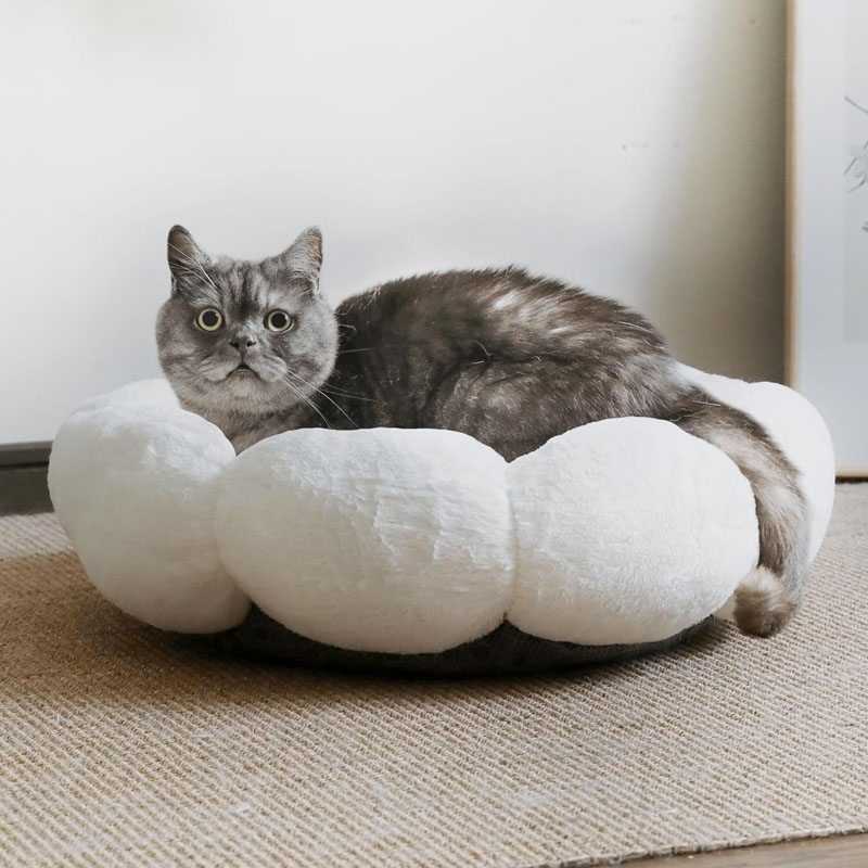 petfelix Cat Be