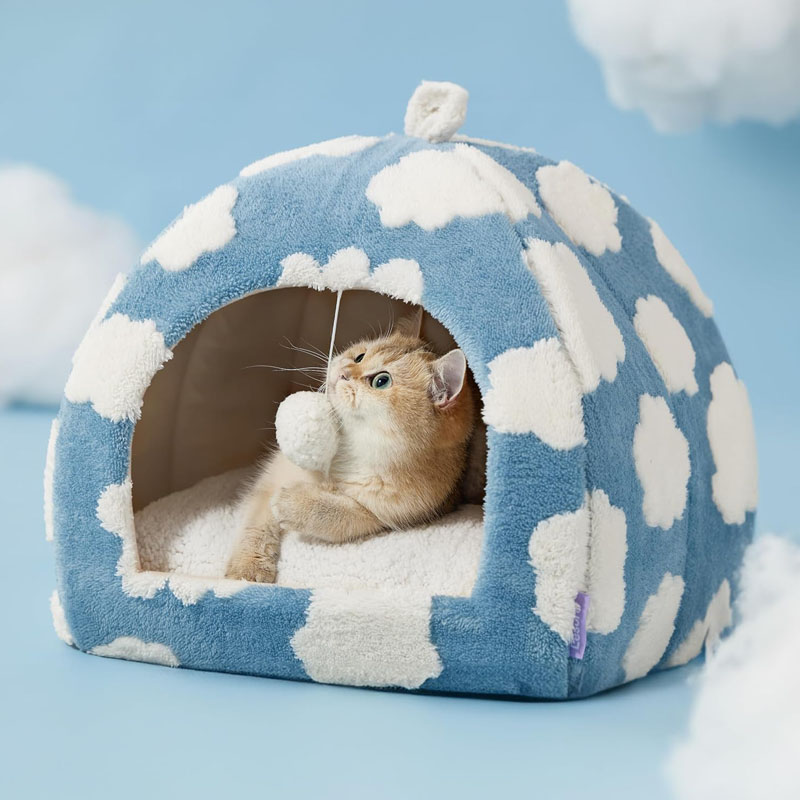 Lesure Cute Cat