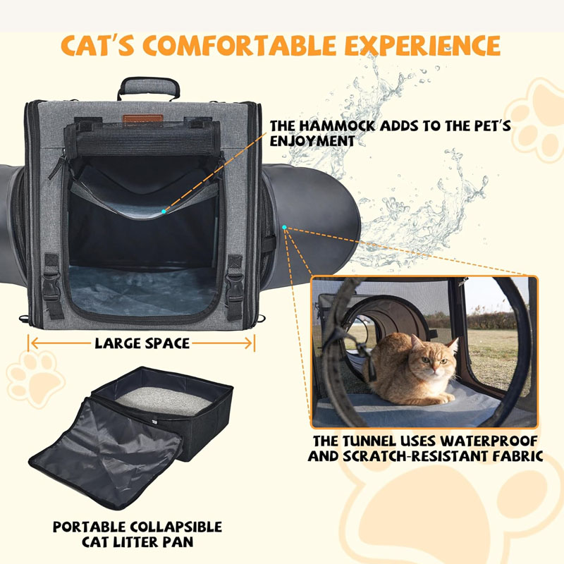 Cat Travel Carr