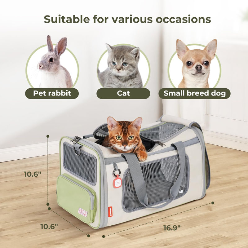 Pawaii Cat Carr
