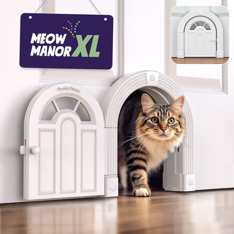 Cat Door Interi
