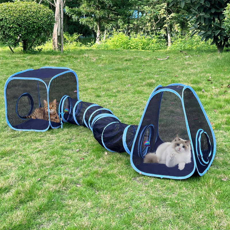 Outdoor Cat Enc