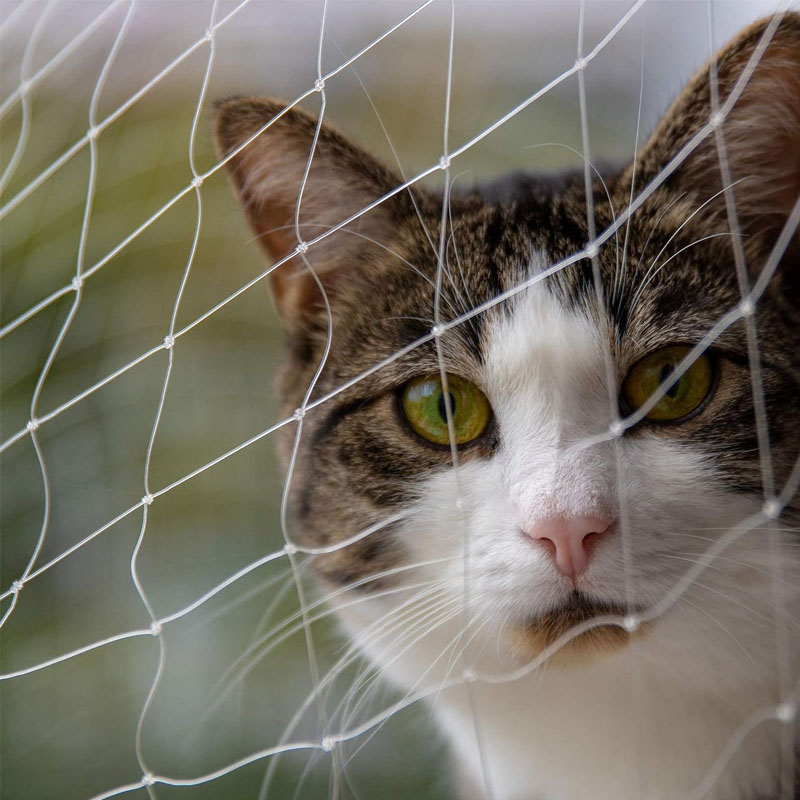 Cat Balcony Net