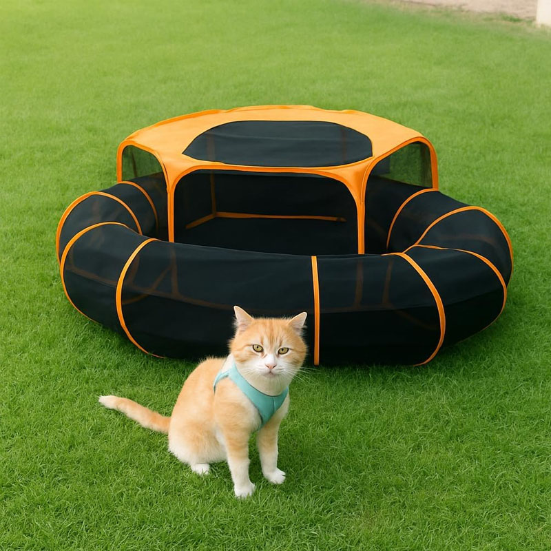 Expandable Play