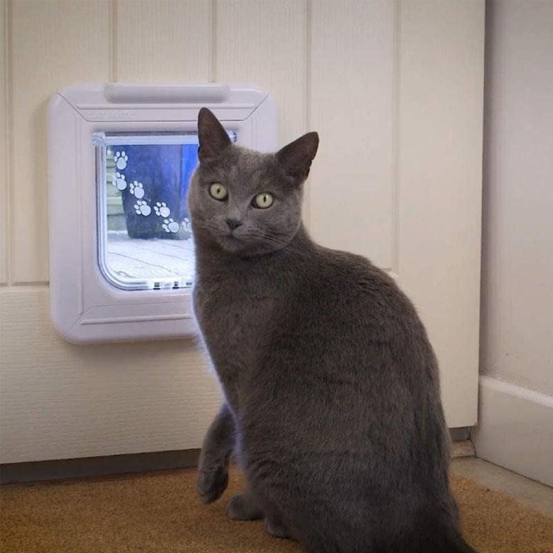 Cat Mate Elite 