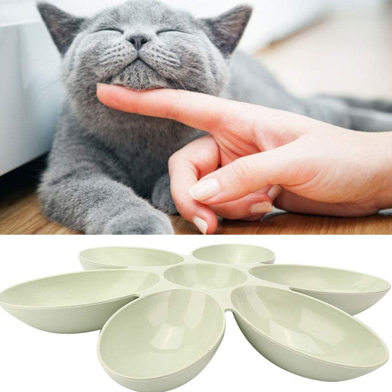 Cat Water Bowl 