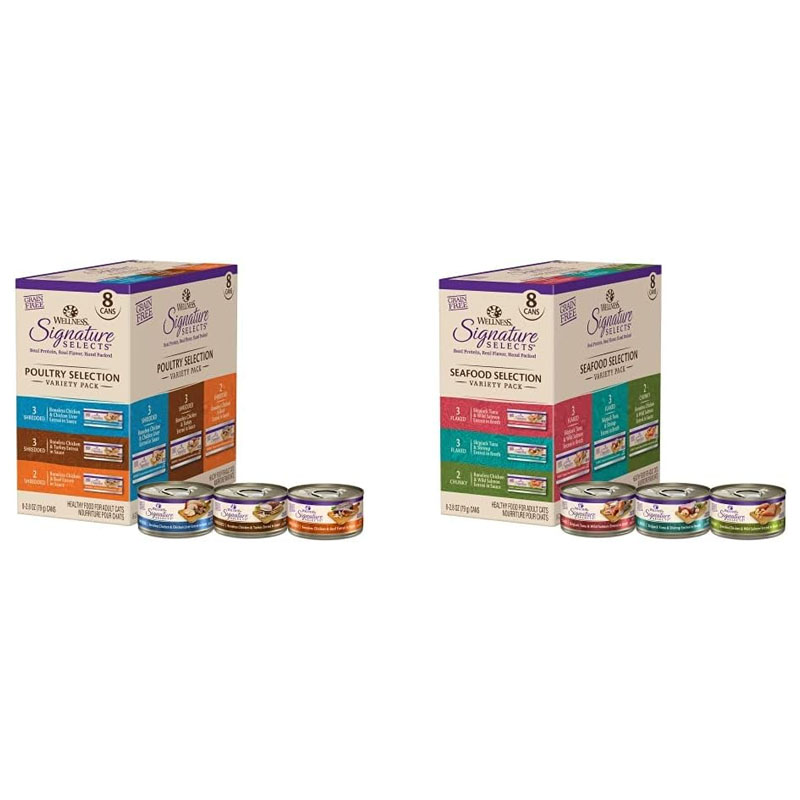 Wellness CORE S